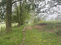 IMG_9828