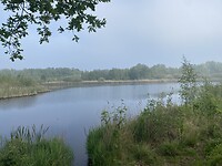 IMG_9832