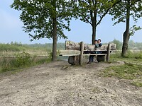 IMG_9852