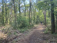 IMG_9865