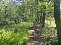 IMG_9868
