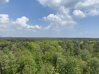 IMG_9871