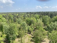 IMG_9873