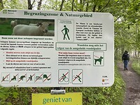 IMG_9800