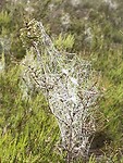 IMG_9804