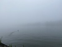 IMG_9799