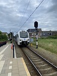 IMG_1477