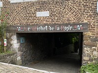 IMG_1485