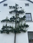 IMG_1508