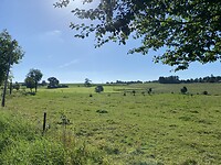 IMG_1546