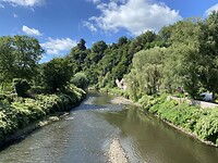 IMG_1557