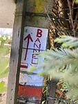 IMG_1558