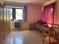 IMG_1564