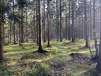 IMG_1568