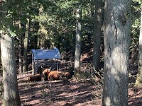 IMG_1580
