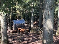 IMG_1582