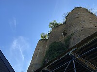 IMG_1636