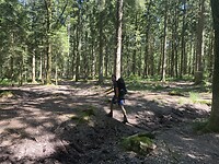 IMG_1614