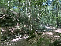 IMG_1616
