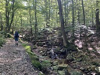 IMG_1997