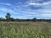 IMG_2001
