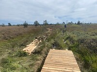 IMG_2009