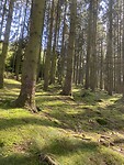 IMG_2023