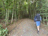 IMG_2305