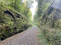 IMG_2313