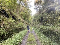 IMG_2315