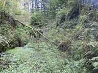 IMG_2320