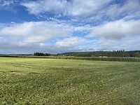 IMG_2347