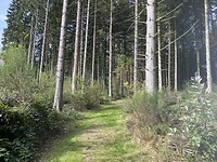 IMG_2349