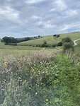 IMG_2352