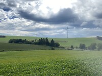 IMG_2359
