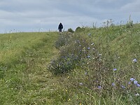 IMG_2361