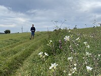 IMG_2362