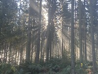IMG_2269