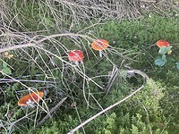 IMG_2273