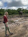 O hello, it’s you 🐘