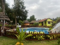 Big Milly’s Backyard