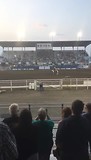 Rodeo