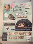 collage 1