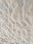 08BA8C92-7C19-4C7E-86E8-8F61795E6499