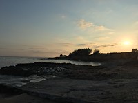 6F0EB6D7-8B63-4794-A2EC-72BA4CAE3A3E