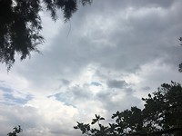 C53F7C16-AC9F-4EDA-B305-08F8E2156198