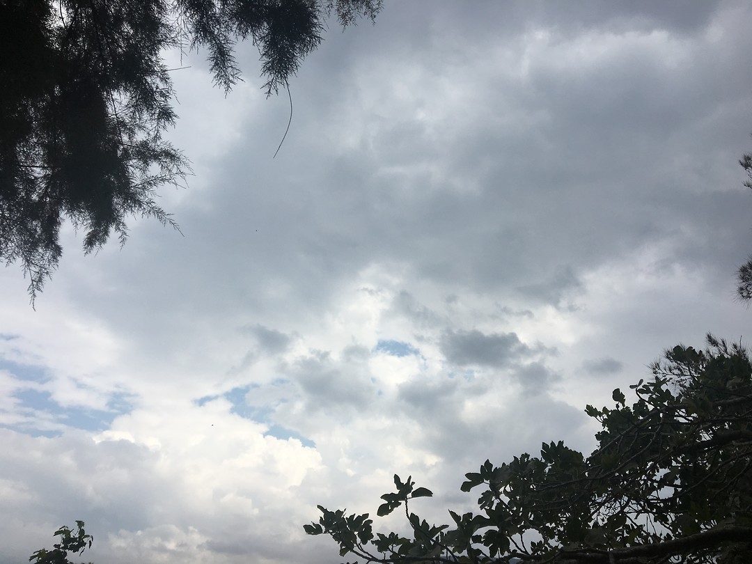 C53F7C16-AC9F-4EDA-B305-08F8E2156198