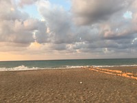 AB227711-75C8-4B36-B68A-9D1F86958122