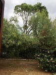 06694B09-BF90-48B1-81D3-ADCCFF75784F