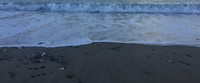 18A8564B-1CEB-4A70-9360-E4C7AA00D896